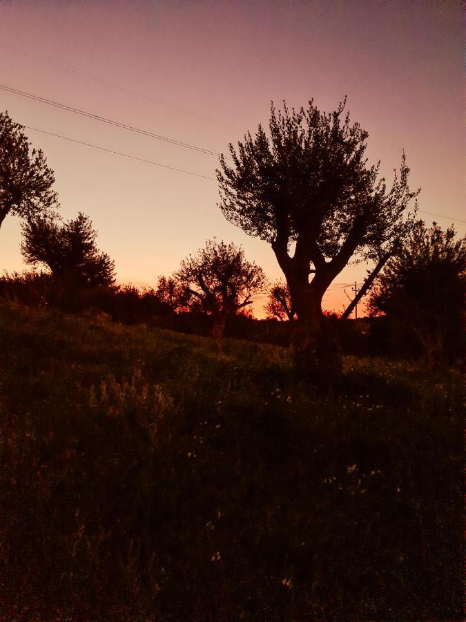 Agroturismo Relais Terre Di Romanello Noto