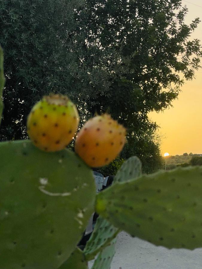 Relais Terre Di Romanello Agroturismo Noto